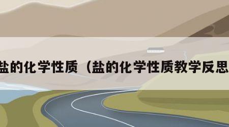 盐的化学性质（盐的化学性质教学反思）