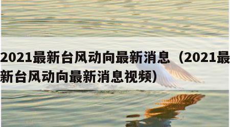 2021最新台风动向最新消息（2021最新台风动向最新消息视频）