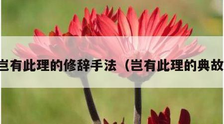 岂有此理的修辞手法（岂有此理的典故）