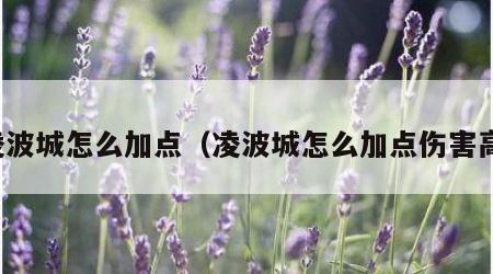 凌波城怎么加点（凌波城怎么加点伤害高）