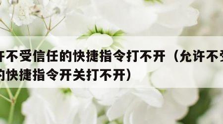 允许不受信任的快捷指令打不开（允许不受信任的快捷指令开关打不开）