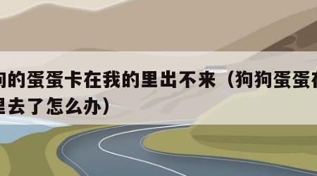 狗狗的蛋蛋卡在我的里出不来（狗狗蛋蛋在肚皮里去了怎么办）