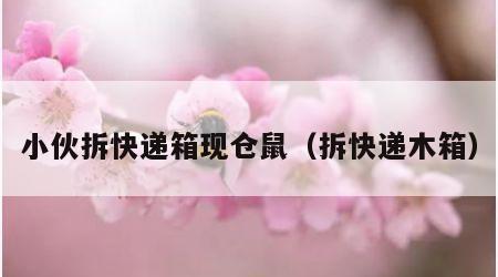 小伙拆快递箱现仓鼠（拆快递木箱）