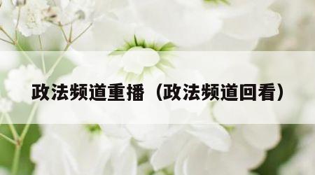 政法频道重播（政法频道回看）