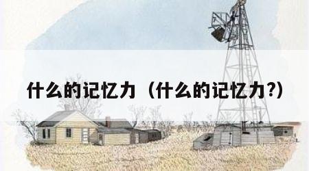 什么的记忆力（什么的记忆力?）