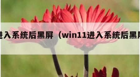 进入系统后黑屏（win11进入系统后黑屏）