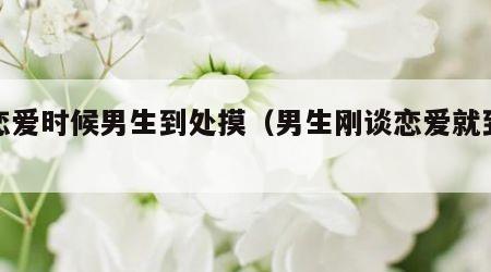 谈恋爱时候男生到处摸（男生刚谈恋爱就到处说）