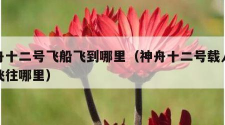 神舟十二号飞船飞到哪里（神舟十二号载人飞船飞往哪里）