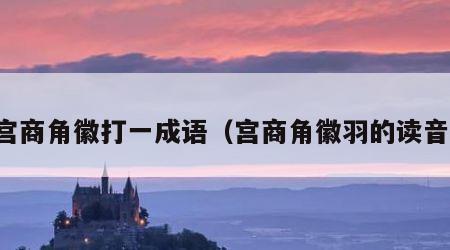 宫商角徽打一成语（宫商角徽羽的读音）