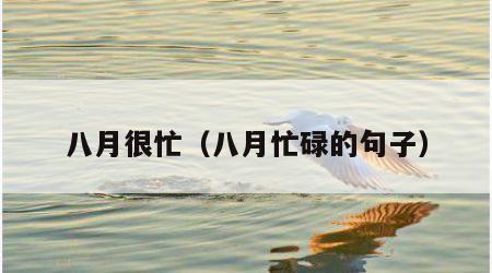 八月很忙（八月忙碌的句子）