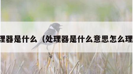 处理器是什么（处理器是什么意思怎么理解）