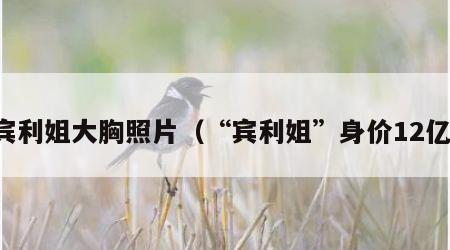 宾利姐大胸照片（“宾利姐”身价12亿）