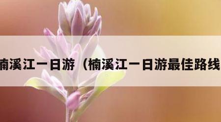 楠溪江一日游（楠溪江一日游最佳路线）