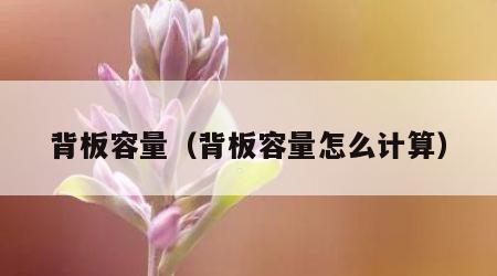 背板容量（背板容量怎么计算）