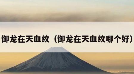 御龙在天血纹（御龙在天血纹哪个好）