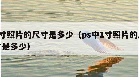 1寸照片的尺寸是多少（ps中1寸照片的尺寸是多少）