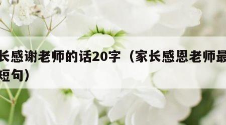 家长感谢老师的话20字（家长感恩老师最暖心短句）