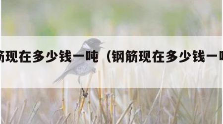 钢筋现在多少钱一吨（钢筋现在多少钱一吨苏州）