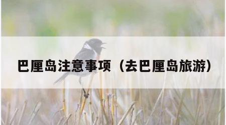 巴厘岛注意事项（去巴厘岛旅游）