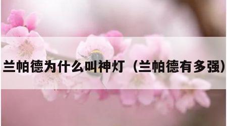 兰帕德为什么叫神灯（兰帕德有多强）