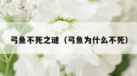 弓鱼不死之谜（弓鱼为什么不死）