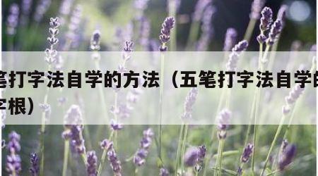 五笔打字法自学的方法（五笔打字法自学的方法字根）