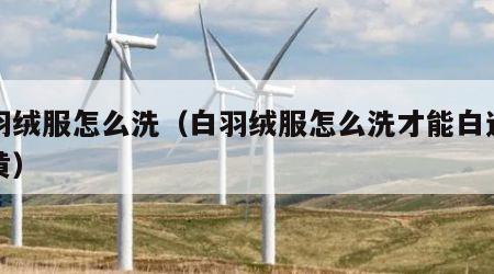 白羽绒服怎么洗（白羽绒服怎么洗才能白还不发黄）