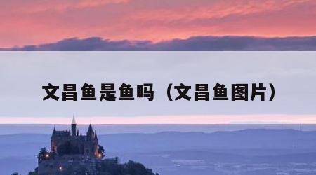 文昌鱼是鱼吗（文昌鱼图片）