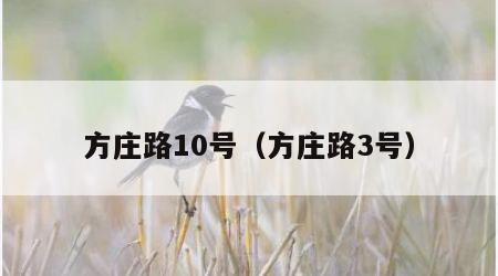方庄路10号（方庄路3号）