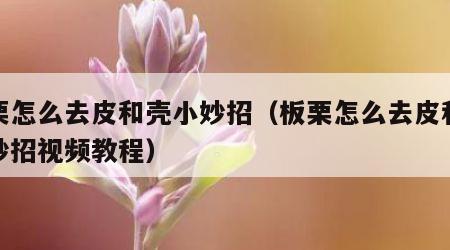 板栗怎么去皮和壳小妙招（板栗怎么去皮和壳小妙招视频教程）