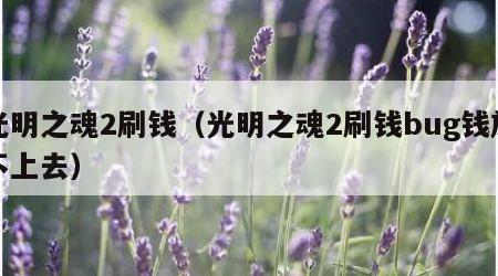 光明之魂2刷钱（光明之魂2刷钱bug钱放不上去）