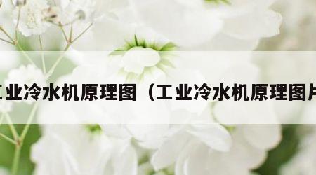 工业冷水机原理图（工业冷水机原理图片）