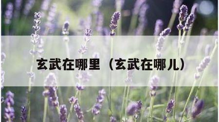 玄武在哪里（玄武在哪儿）