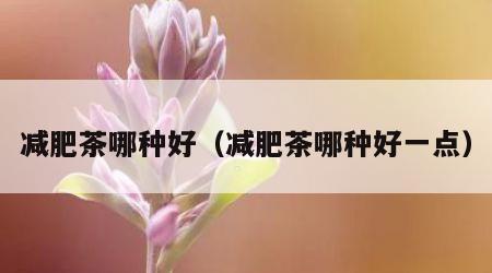 减肥茶哪种好（减肥茶哪种好一点）