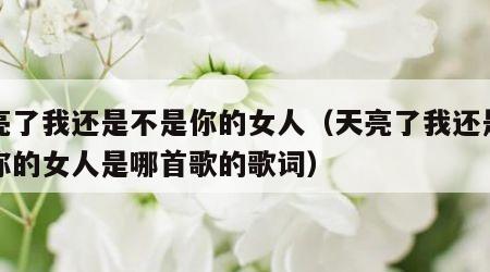 天亮了我还是不是你的女人（天亮了我还是不是你的女人是哪首歌的歌词）