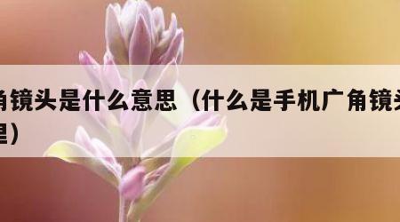 广角镜头是什么意思（什么是手机广角镜头在哪里）