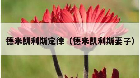 德米凯利斯定律（德米凯利斯妻子）