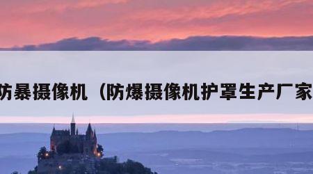 防暴摄像机（防爆摄像机护罩生产厂家）