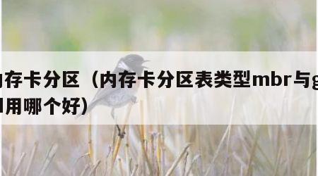 内存卡分区（内存卡分区表类型mbr与guid用哪个好）