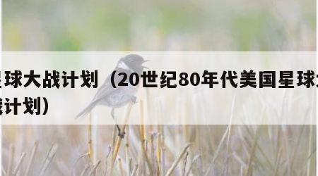 星球大战计划（20世纪80年代美国星球大战计划）