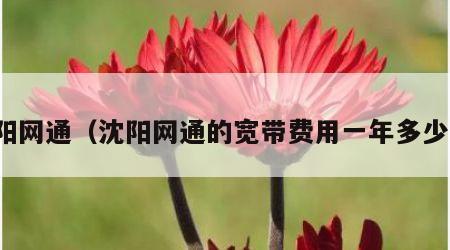 沈阳网通（沈阳网通的宽带费用一年多少钱）