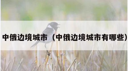 中俄边境城市（中俄边境城市有哪些）