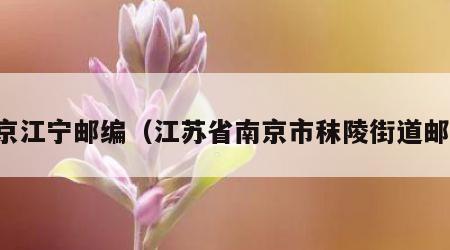 南京江宁邮编（江苏省南京市秣陵街道邮编）