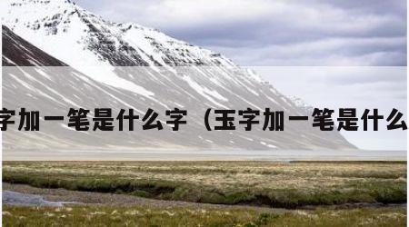 亚字加一笔是什么字（玉字加一笔是什么字）