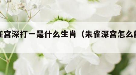 朱雀宫深打一是什么生肖（朱雀深宫怎么解释）