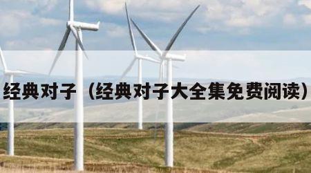 经典对子（经典对子大全集免费阅读）