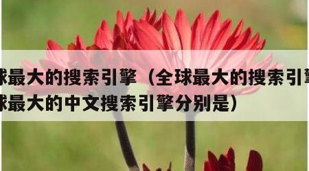 全球最大的搜索引擎（全球最大的搜索引擎和全球最大的中文搜索引擎分别是）