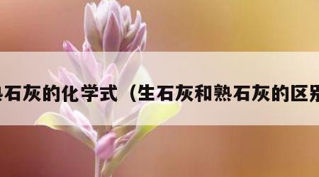 熟石灰的化学式（生石灰和熟石灰的区别）