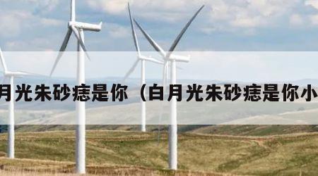 白月光朱砂痣是你（白月光朱砂痣是你小说）