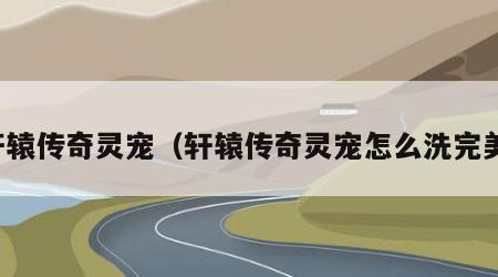 轩辕传奇灵宠（轩辕传奇灵宠怎么洗完美）